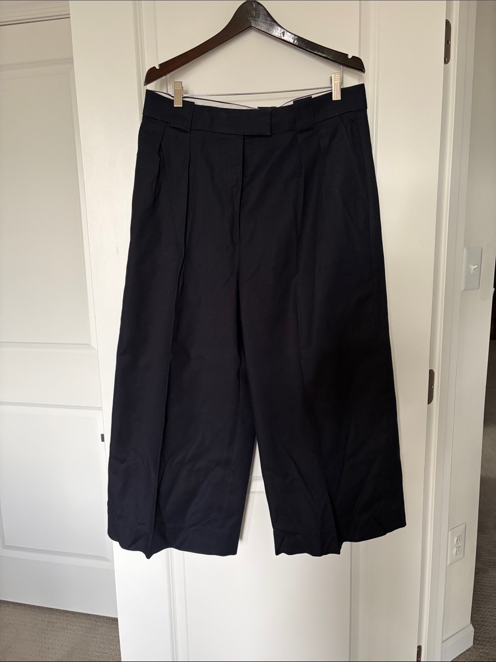 Banana Republic Navy Blue Wide-Leg Pleated Trousers